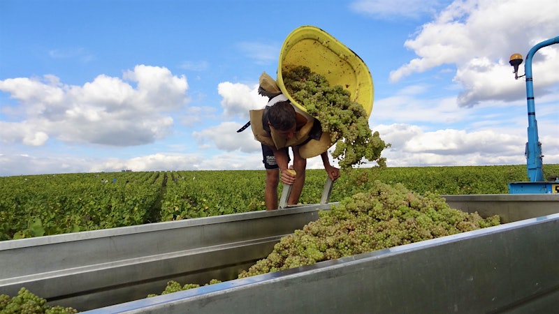 Alphabetical Guide to Muscadet