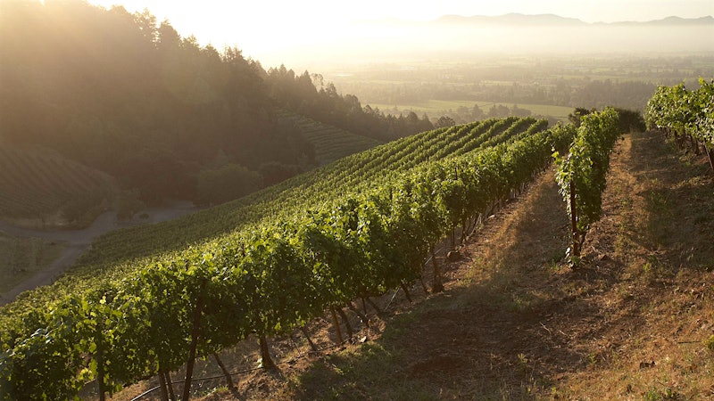 Napa’s Newton Vineyard Is Reborn