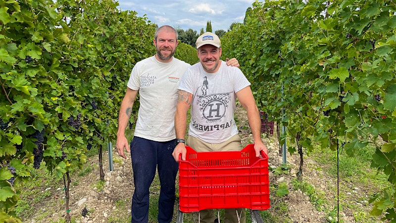 Italy’s Next Summer Red?