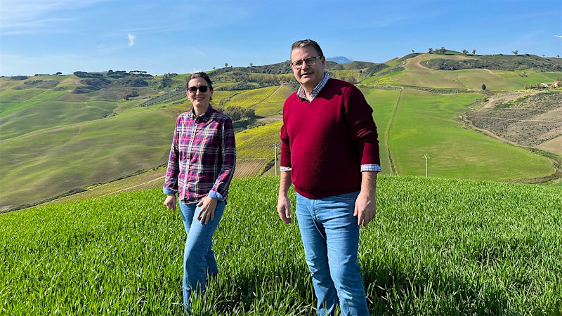 Wine and Love on an Ancient Sicilian Farm